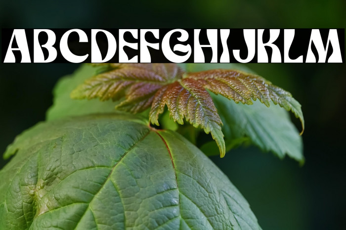 SunwishMaverick-Regular Example 3