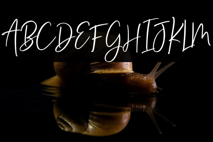 Sunydale demo Example 3