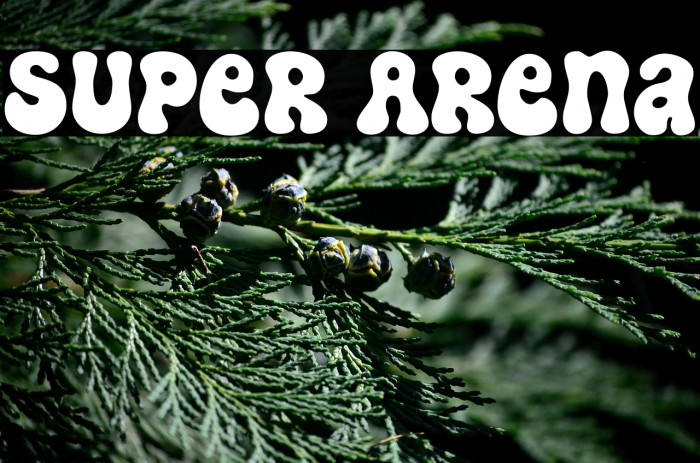 Super Arena Example 3