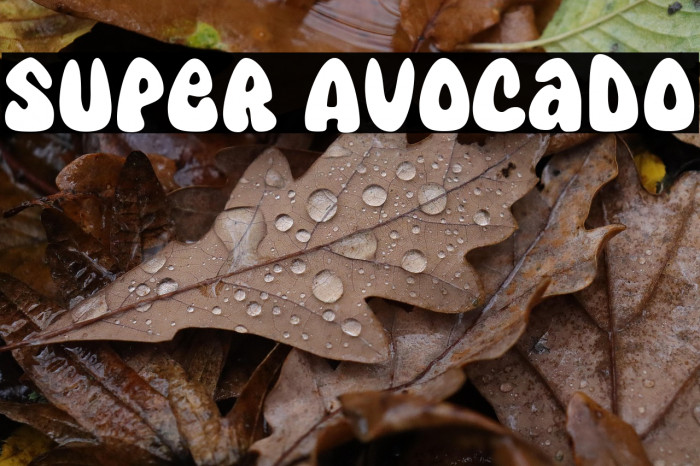 Super Avocado Example 2