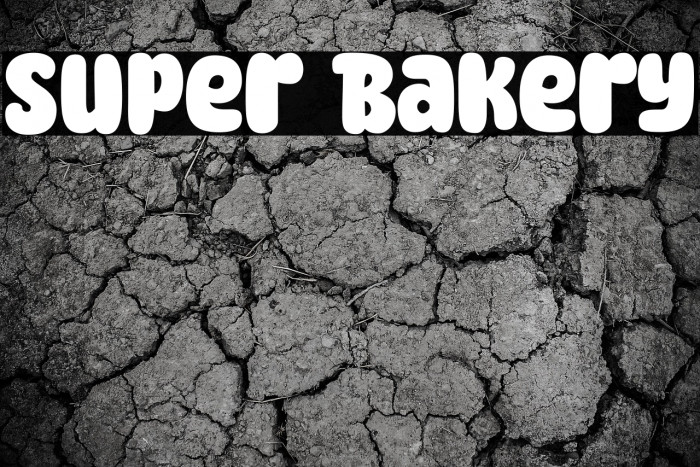 Super Bakery Example 2