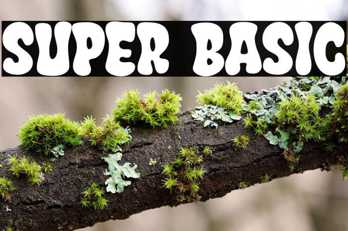 Super Basic Example 1