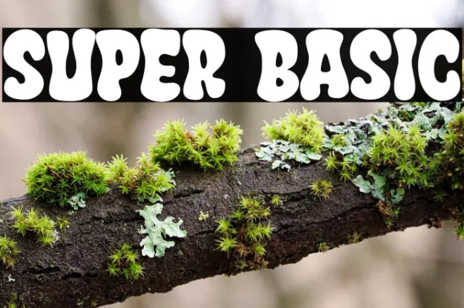 Super Basic Font - Free Download (TTF/OTF) | FFonts.net