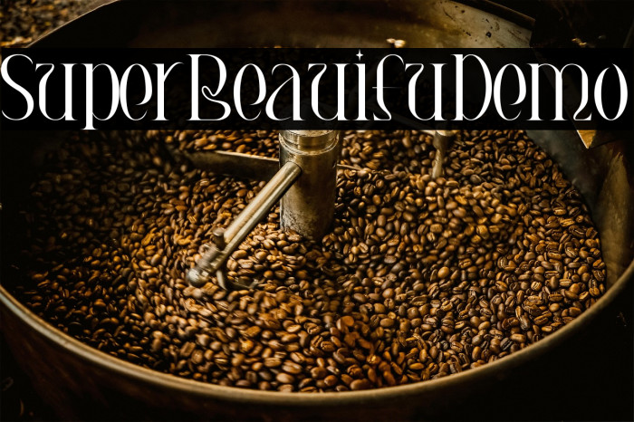 Super Beautiful Demo Example 2