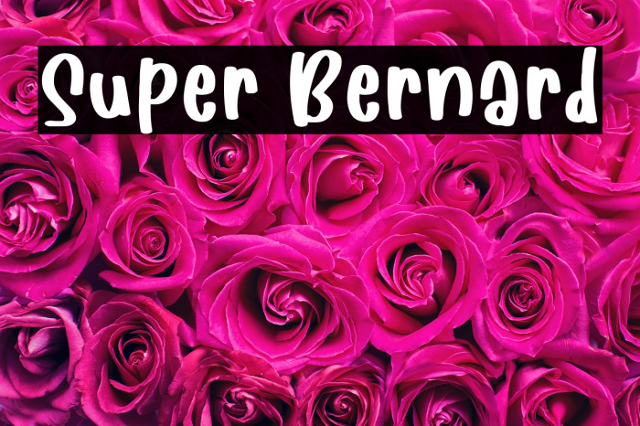 Super Bernard Example 2