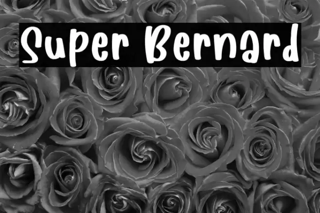 Super Bernard Font examples