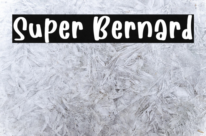 Super Bernard Example 3