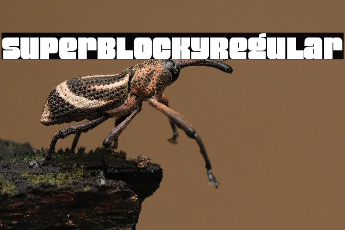 Super Blocky Regular Example 1