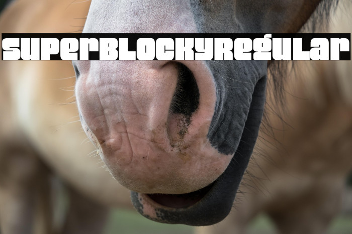 Super Blocky Regular Example 2