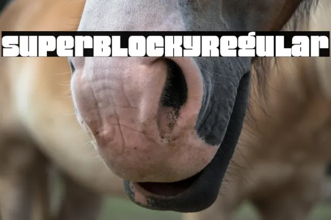 Super Blocky Regular Example 2