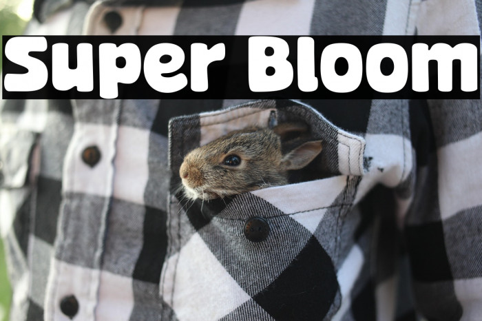 Super Bloom Example 1