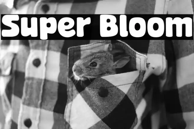 Super Bloom Font examples