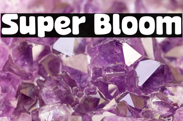 Super Bloom Example 3