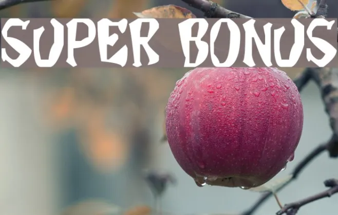Super Bonus Example 1
