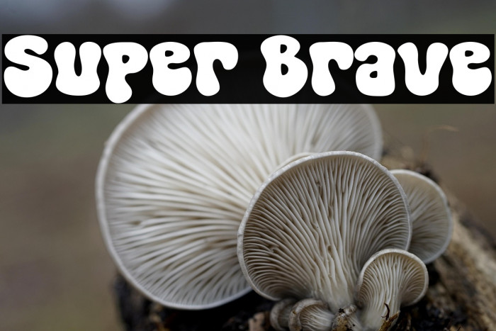 Super Brave Example 2