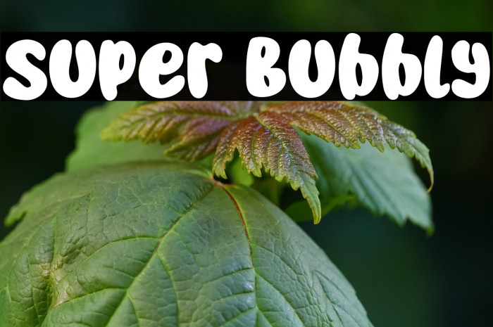 Super Bubbly Example 3