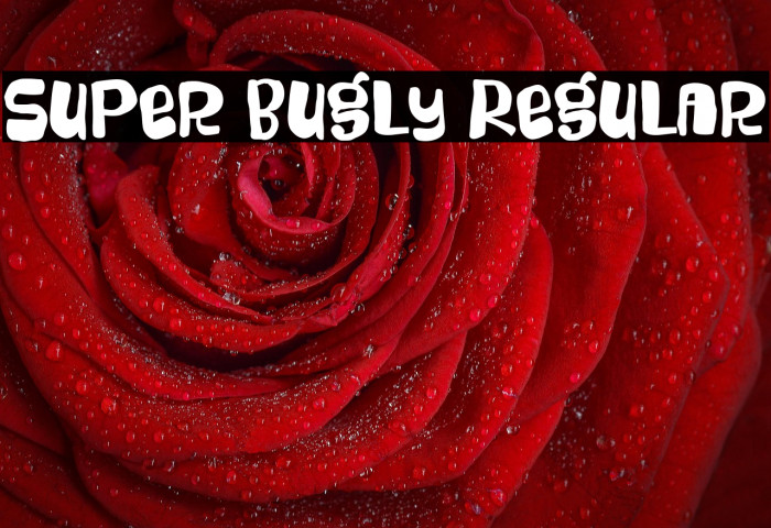 Super Bugly Regular Example 1