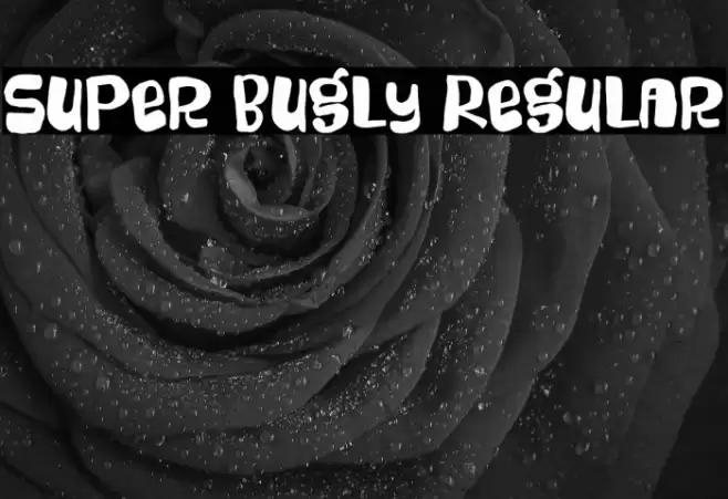 Super Bugly Regular Font examples