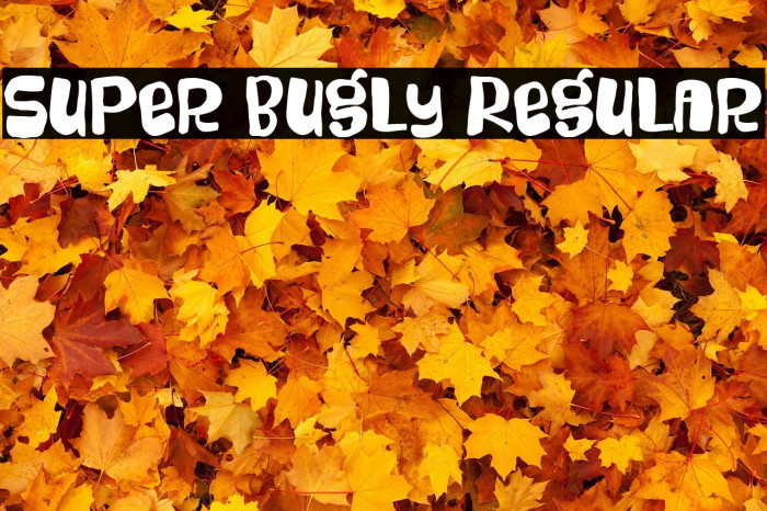 Super Bugly Regular Example 2