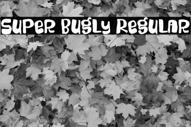 Super Bugly Regular Font examples