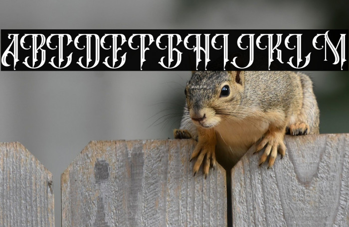 Super Byzantine Regular Example 2