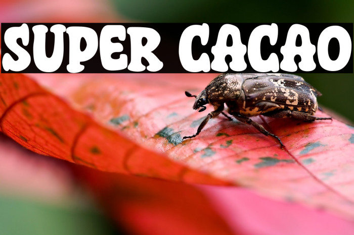 Super Cacao Example 2