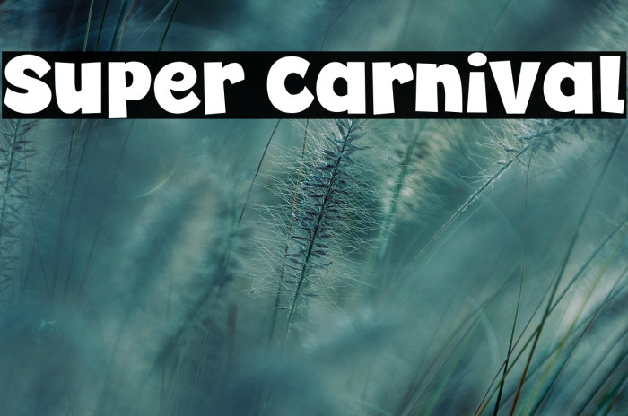Super Carnival Example 2