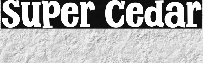 Super Cedar Example 2