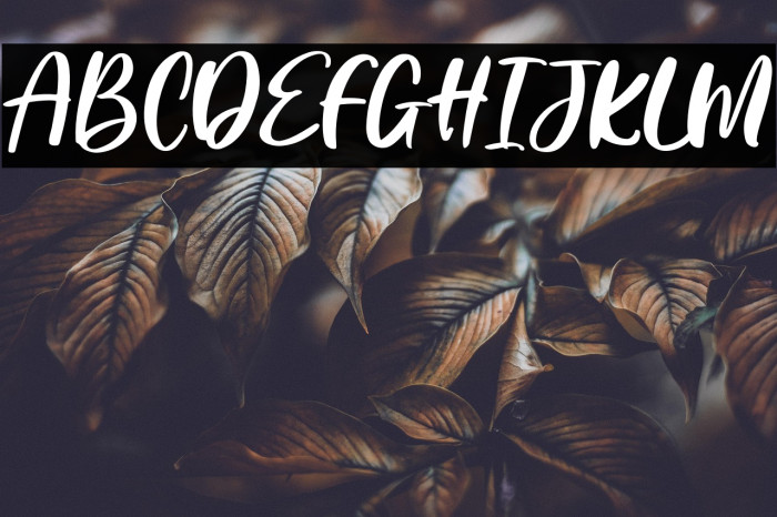 Super Cempluk Regular Example 1