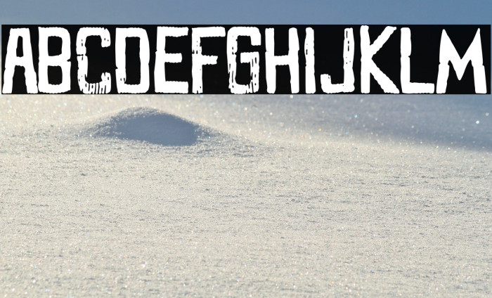 Super Cerdo Inc. Example 3