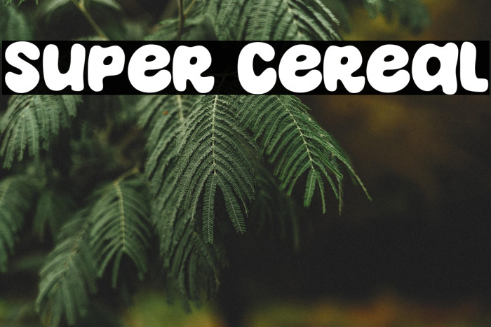 Super Cereal Example 1