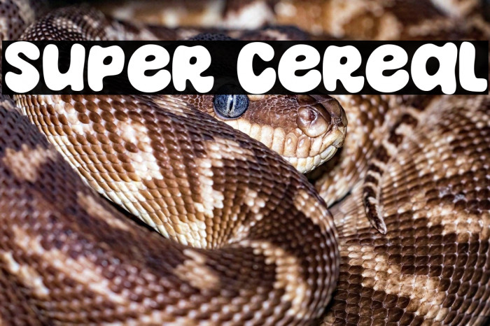 Super Cereal Example 3