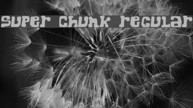 Super Chunk Regular Font examples