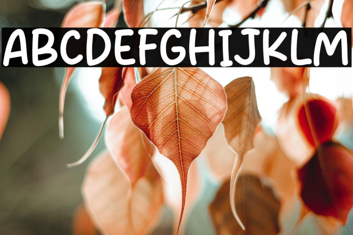 Super College Example 2