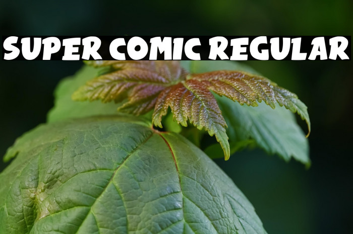 Super Comic Regular Example 1