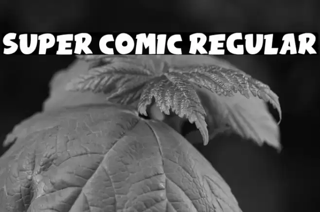 Super Comic Regular Font examples