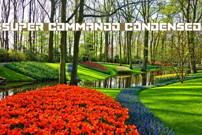 Super Commando Condensed フォント examples