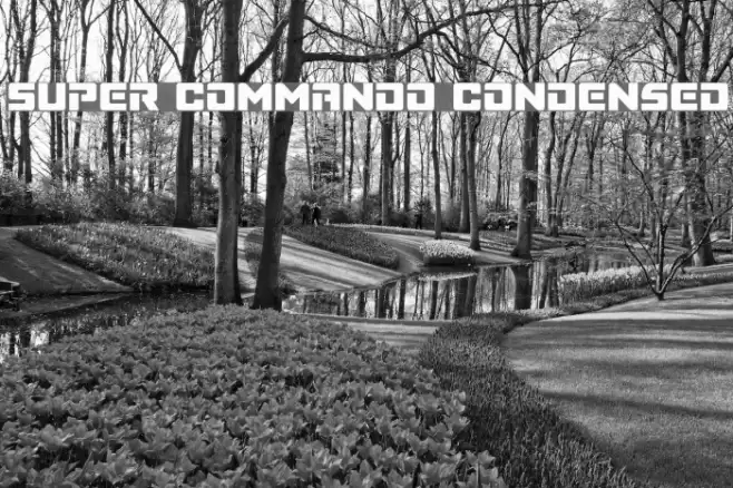 Super Commando Condensed フォント examples