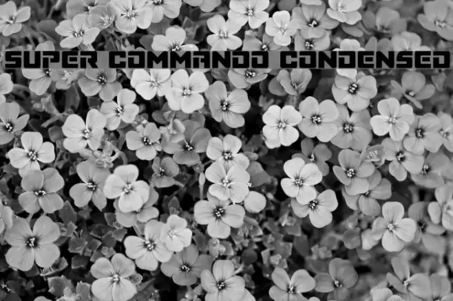 Super Commando Condensed フォント examples