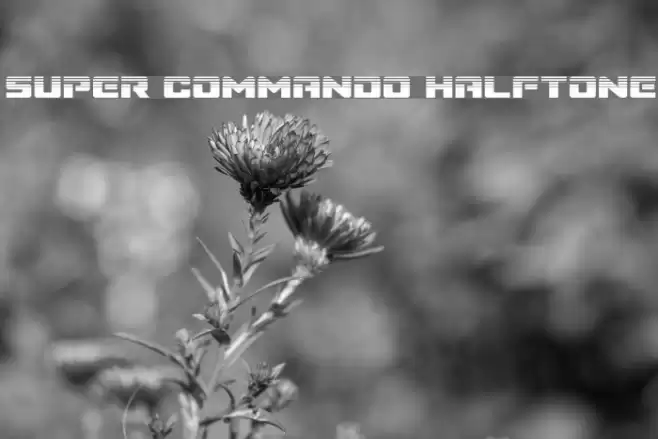 Super Commando Halftone Font examples
