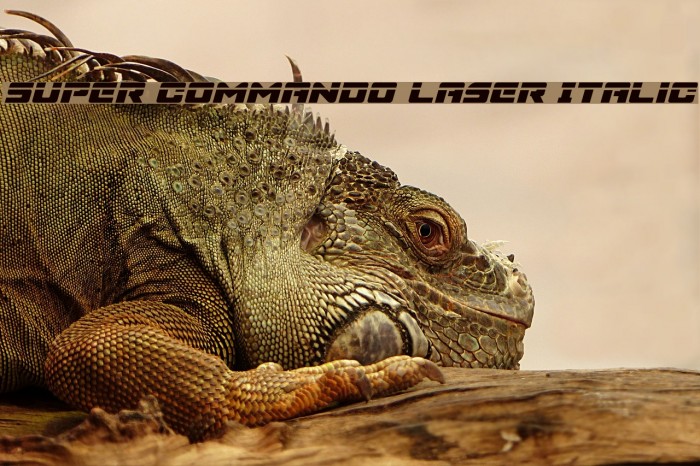 Super Commando Laser Italic Font examples