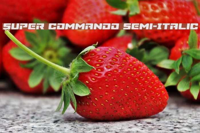 Super Commando Semi-Italic Font examples