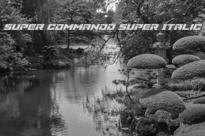Super Commando Super Italic Font examples