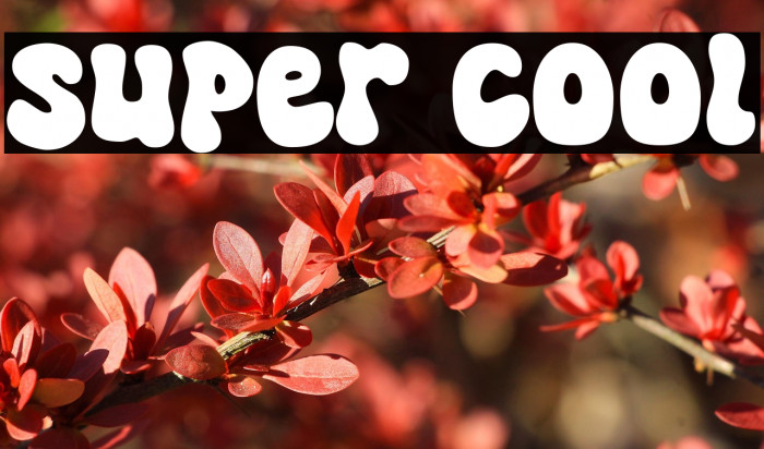 Super Cool Example 2