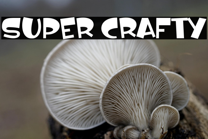 Super Crafty Example 1