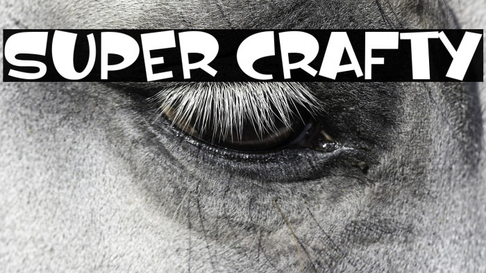 Super Crafty Example 3