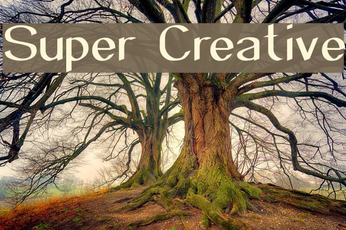 Super Creative Fonte examples