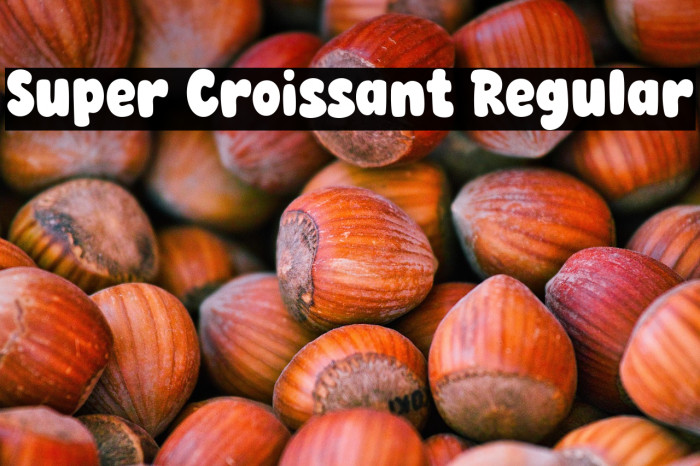Super Croissant Regular Example 3