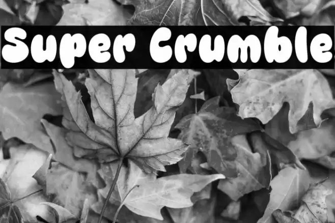 Super Crumble Font examples