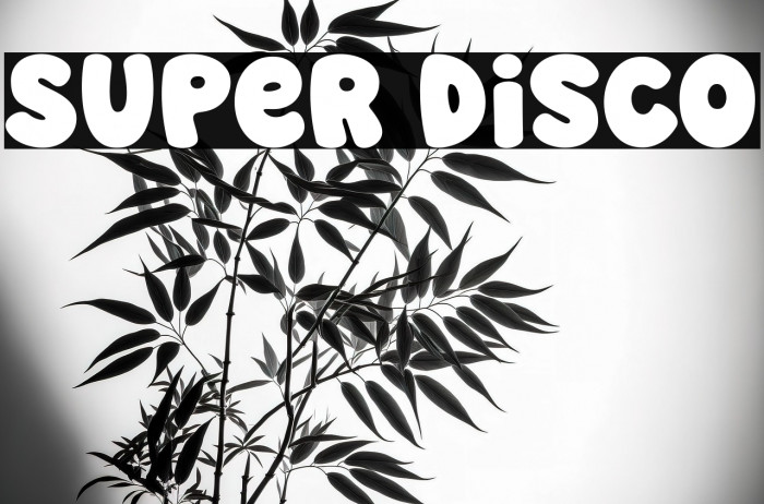 Super Disco Example 2